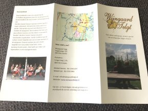 wijngaard telgt in Ermelo